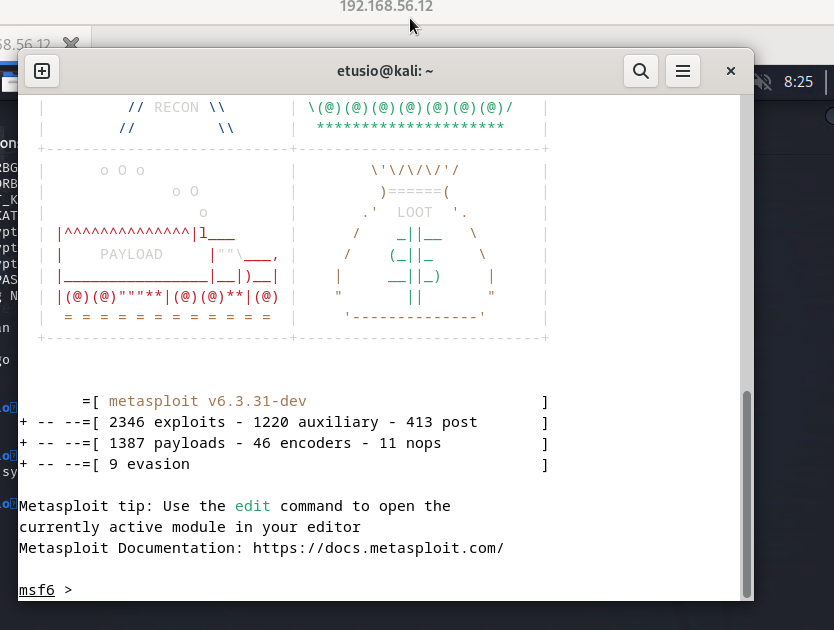 Ouverture de Metasploit Framework sur la machine Kali Linux.