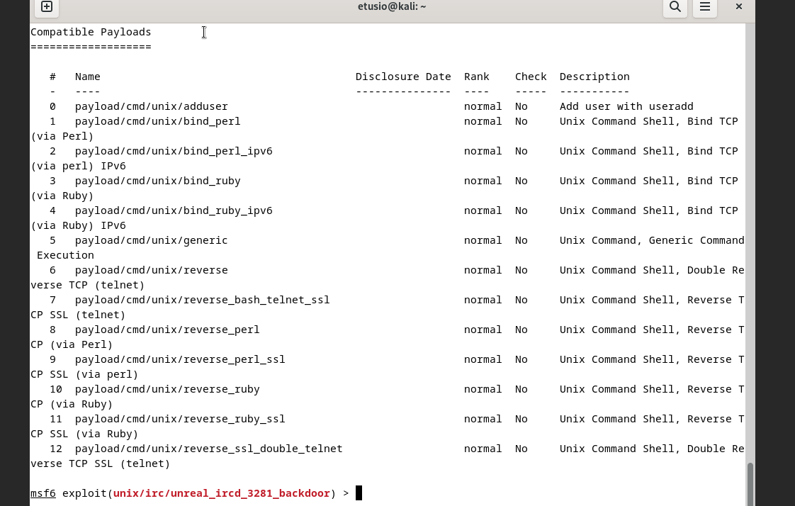 Affichage des options et payloads disponibles dans Metasploit.